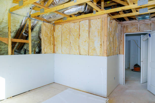 Best Soundproof Insulation Installation  in Elm Creek, NE