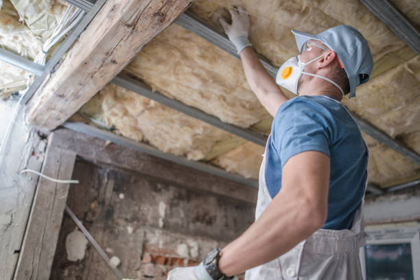 Best Garage Insulation Installation  in Elm Creek, NE