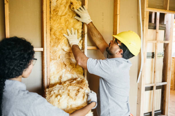 Insulation Repair Services in Elm Creek, NE