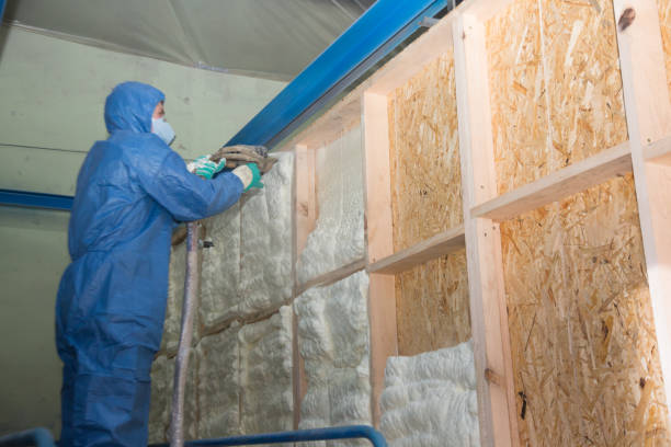 Professional Insulation Contractor in Elm Creek, NE