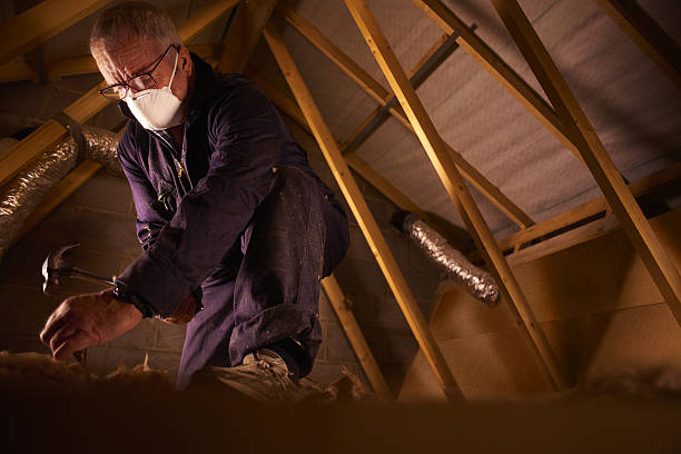 Best Energy-efficient Insulation  in Elm Creek, NE