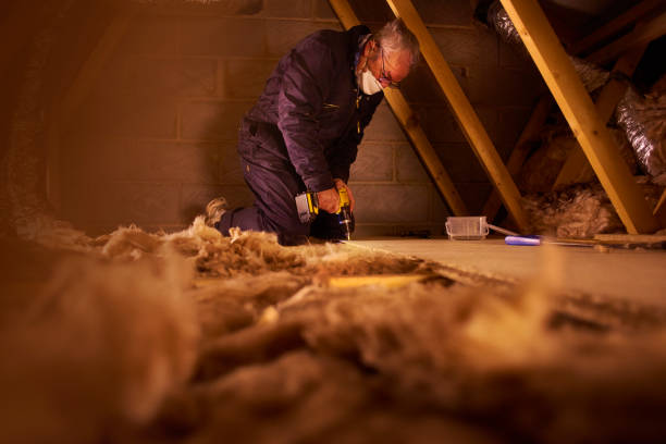 Best Local Insulation Services  in Elm Creek, NE